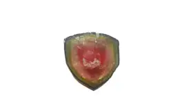 Slice watermelon tourmaline of 11,05 carats